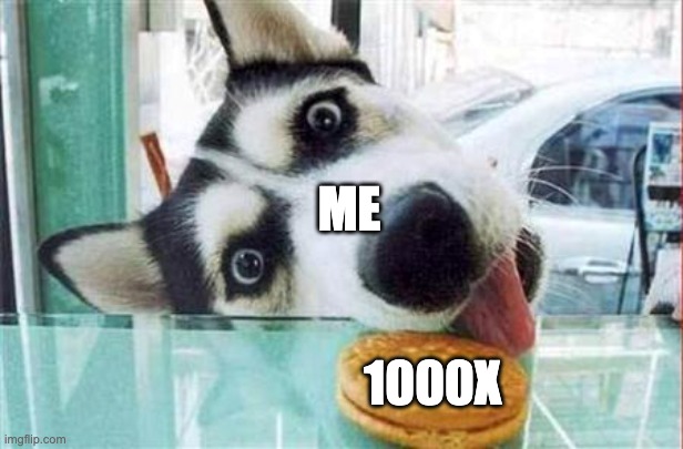 Husky (@huskybestie) on Twitter photo 