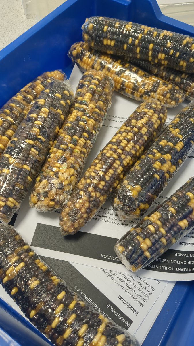 #GWITT <a href="/chatbiology/">Chat Biology</a>