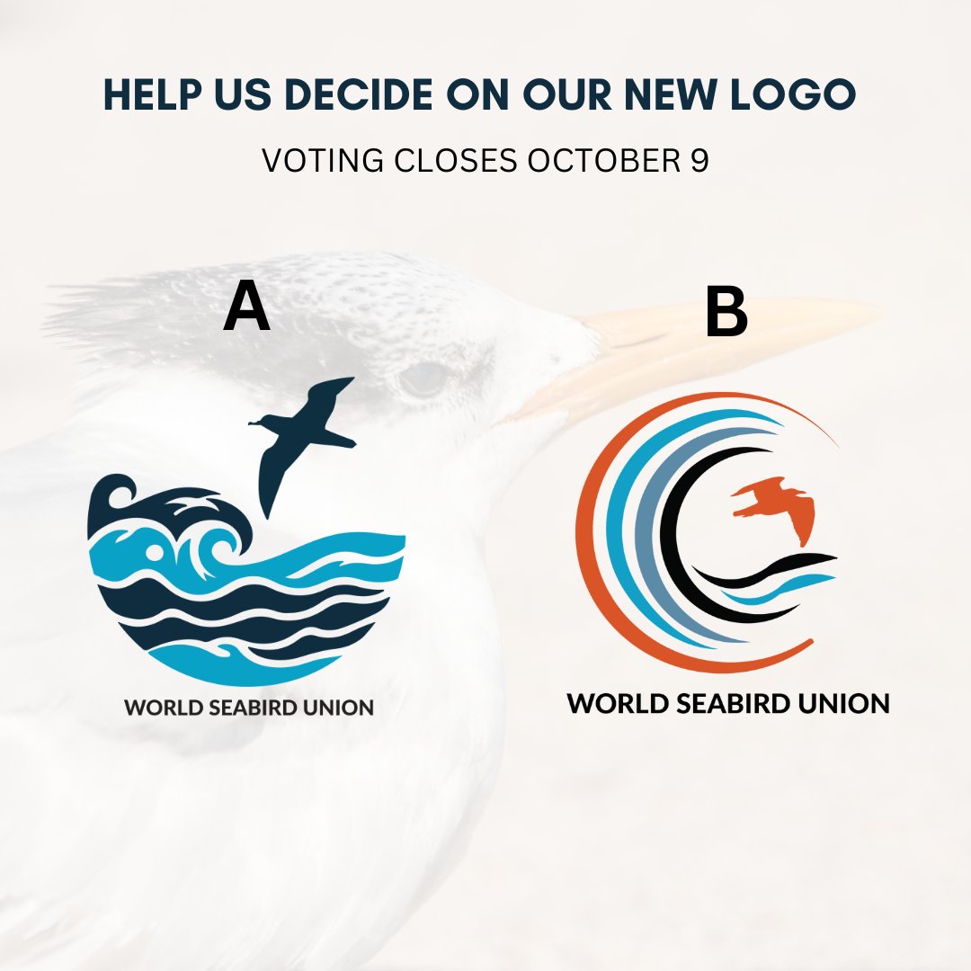 We'd love your input! Help us decide on our new logo. Voting closes on Wednesday, October 9. 
worldseabirdunion.org/vote-on-which-…