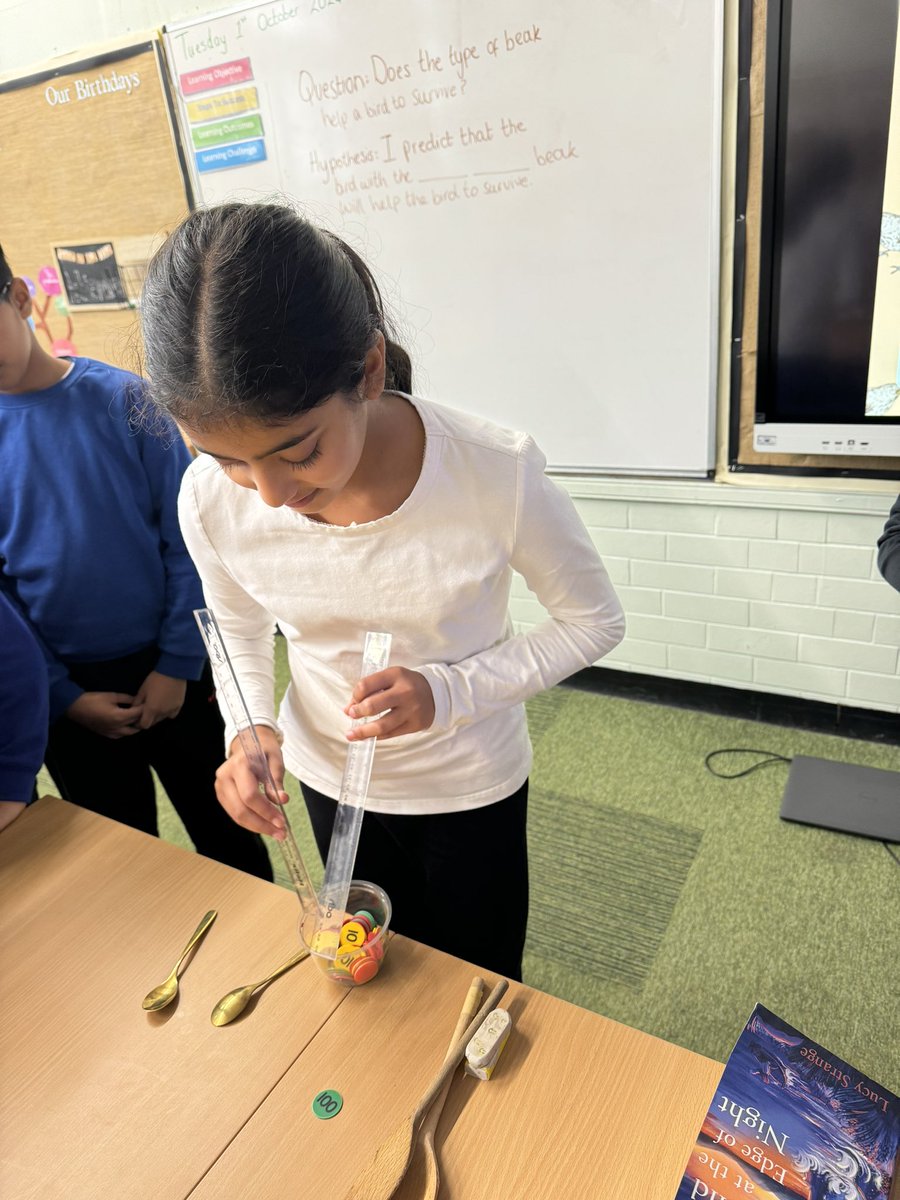carltonj_i's tweet photo. In Year 6, we have been exploring how animals adapt to their environments. We used different sized equipment to represent the variation in birds to see how many seeds they could collect #Investigation #WorkingScientifically #DisciplinaryKnowledge https://t.co/eCcofnI7Gk