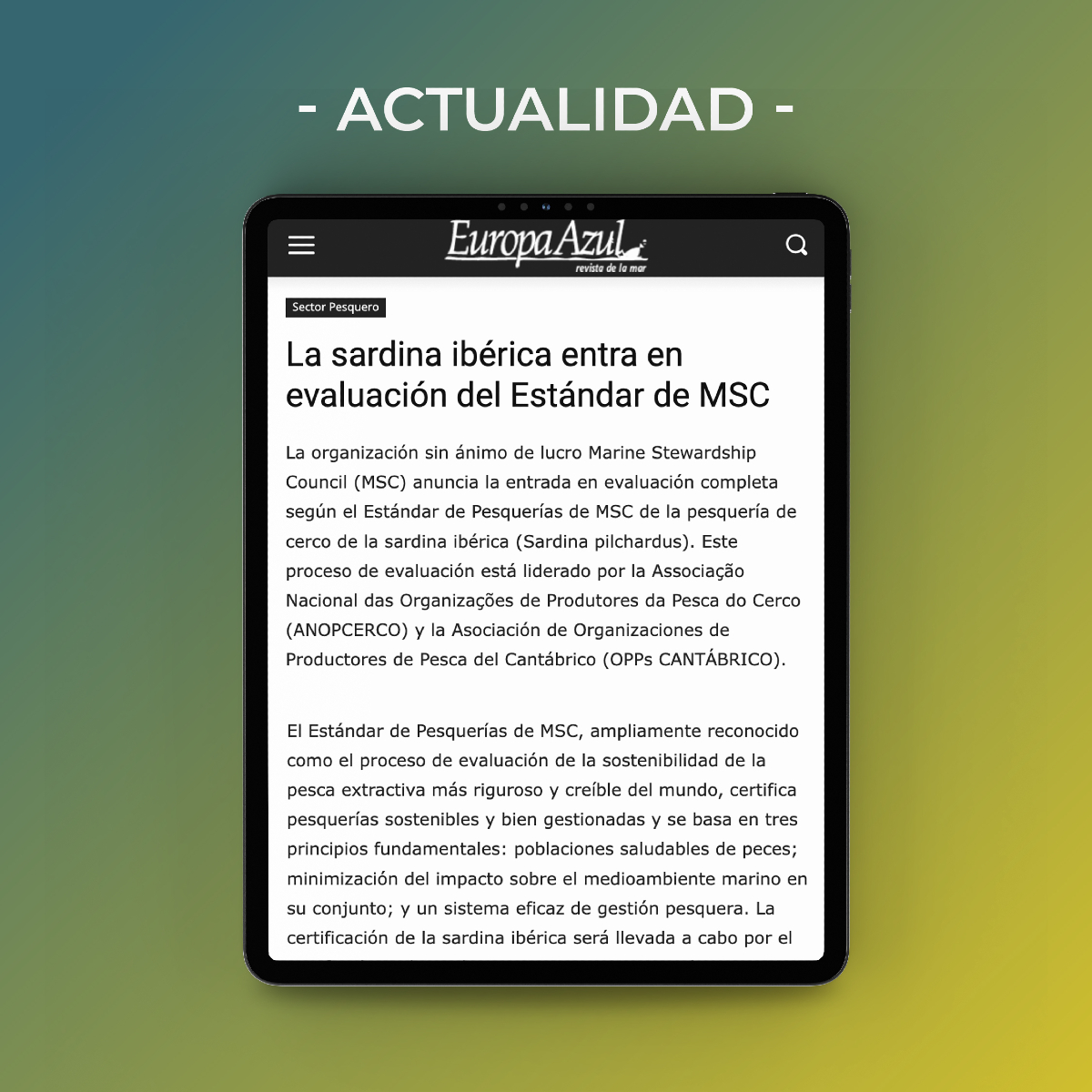 OPPs Cantábrico tweet media