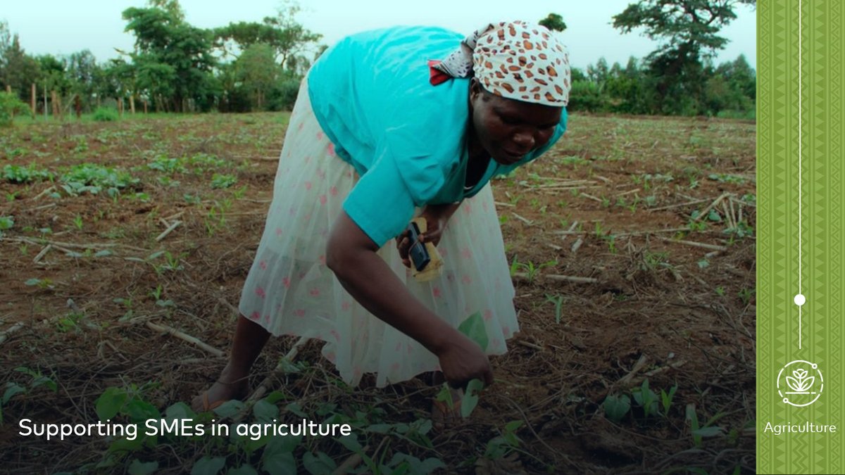 Fund for Resilience and Prosperity tweet media