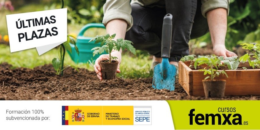 Quedan muy pocas plazas disponibles para los cursos gratuitos subvencionados por el Ministerio de Trabajo y Economía Social.…seguir leyendo en feej.es
feej.es/octubre-ultimo…