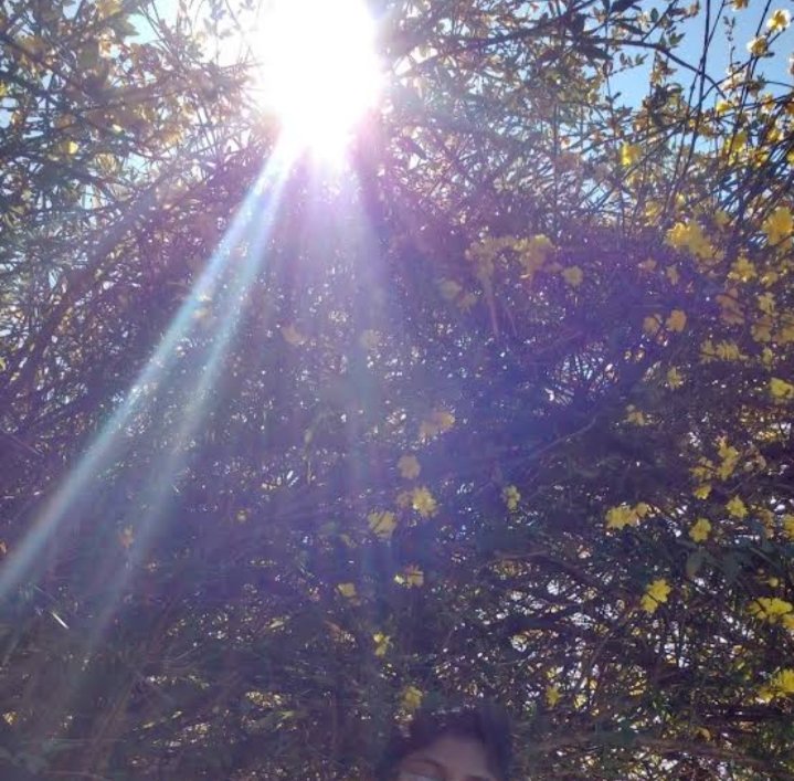 क्या है दोपहर?
क्या एकांत की शांति, या फिर उमड़ती तनहाई,
चाय की तलब या गर्मी की झुरमुराहट,
अपने लिए कभी न मिलने वाला वक्त या फिर कामों की व्यस्तता...
क्या है दोपहर?

शुभ दोपहर☀️

#Goodafternoon 
#IsraelUnderAttack #Iran #10YearsOfSwachhBharat #GandhiJayanti2024 #NathuramGodse