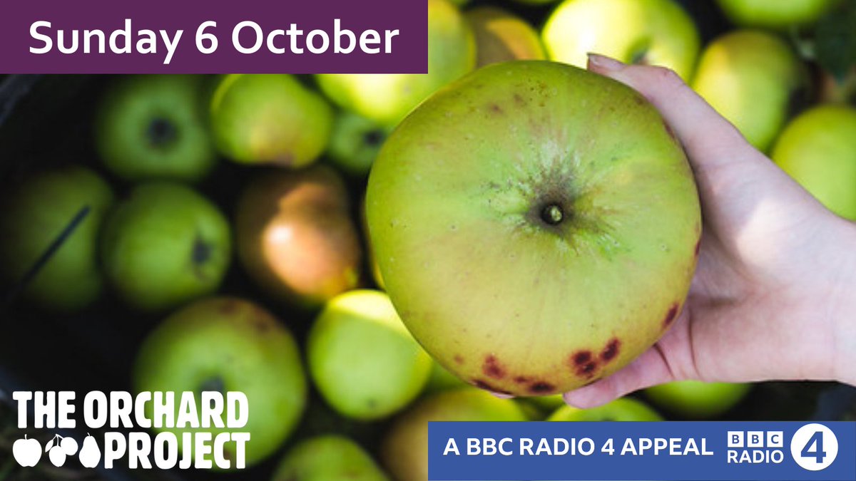 Our friends <a href="/ProjectOrchard/">The Orchard Project</a> 's are launching a BBC Radio 4 Appeal on Sun 6 Oct to bring even more orchards into the heart of urban communities. 

Listen on BBC Radio 4 FM or BBC Sounds at 07:54 &amp; 21:25, again on Thurs 10 Oct at 15:27. 👉  theorchardproject.org.uk/news/tune-in-t…