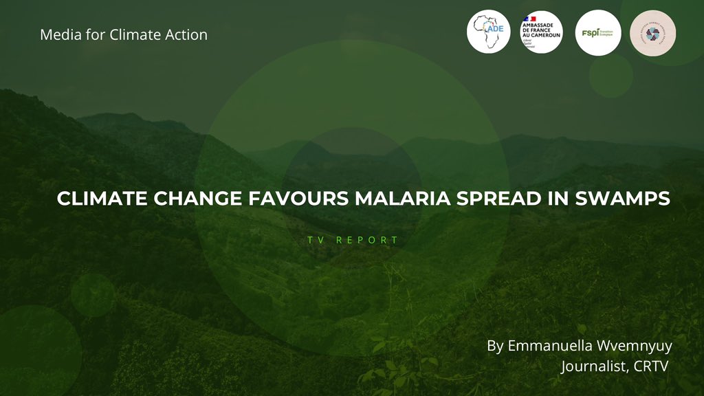 actions4dev's tweet photo. Watch this interesting news report by our Media for Climate Action fellow Emmanuella Wvemnyuy on how climate change is accelerating the spread of malaria in swamps👇🏾👇🏾👇🏾

🔗📌: https://t.co/yYUwccnTjg 

#ClimateJournalist
#MediaforClimateAction https://t.co/LJIEq2w8wj