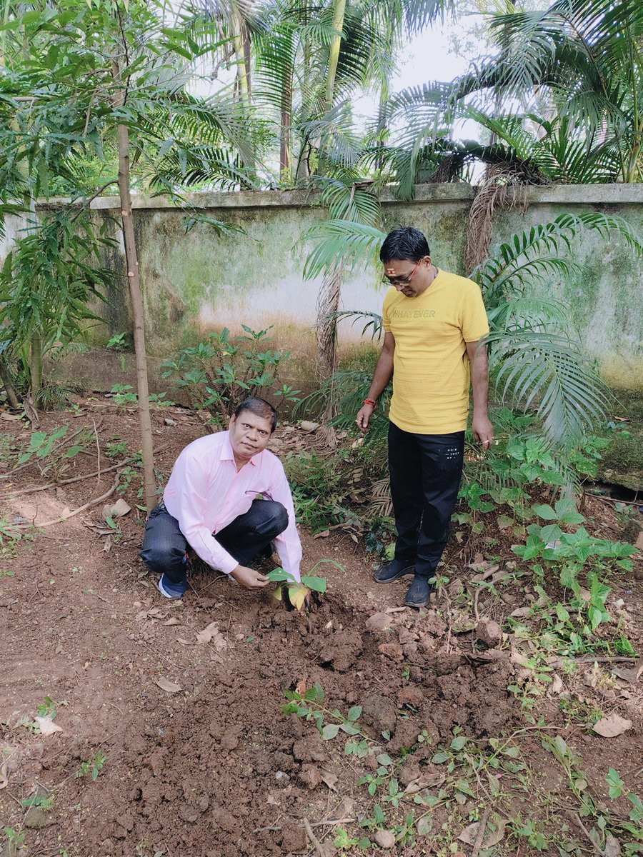 JashpurDist's tweet image. गांधी जयंती के अवसर पर जिला एवं सत्र न्यायालय जशपुर में &apos;एक पेड़ मां के नाम&apos; अभियान के तहत पौधारोपण। 

- सभी अधिकारियों और कर्मचारियों ने स्वच्छता और गांधी जी के आदर्शों को अपनाने का लिया संकल्प। 

#GandhiJayanti 
#Jashpur 
#OneTreeForMother
#10YearsOfSwachhBharat