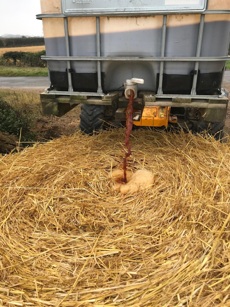 BAM in the Bale! 🌾 

Do you know what we're doing here? 

We’re improving our forage quality with a special additive to give our livestock the best nutrition. 

Follow to find out more about the benefits!

 #FarmSmart #BAMinBale