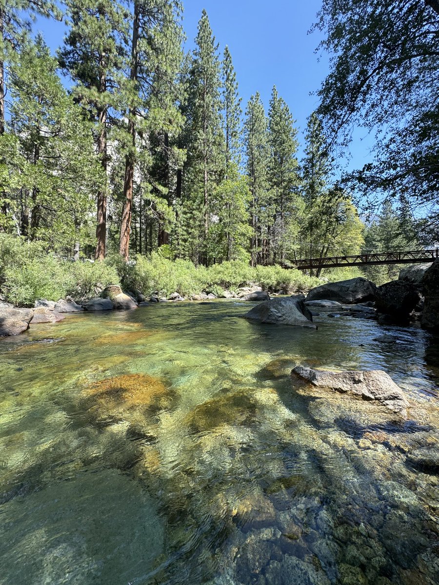 where things are simple