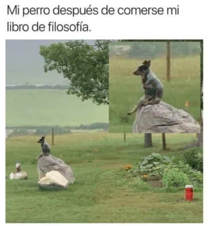 🥸