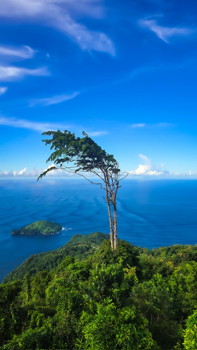 Milliontouch's tweet image. Good morning 
Wallpaper Wednesday