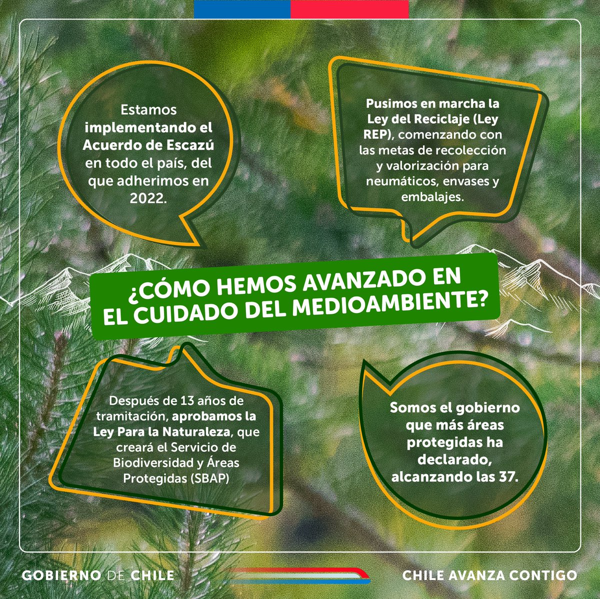 🌺 En el Día Nacional del Medio Ambiente, reafirmamos nuestro compromiso con la protección de nuestra rica biodiversidad y ecosistemas. 

☝🏽Descubre aquí los avances de nuestro @gobiernodechile 🇨🇱  en materia medioambiental.