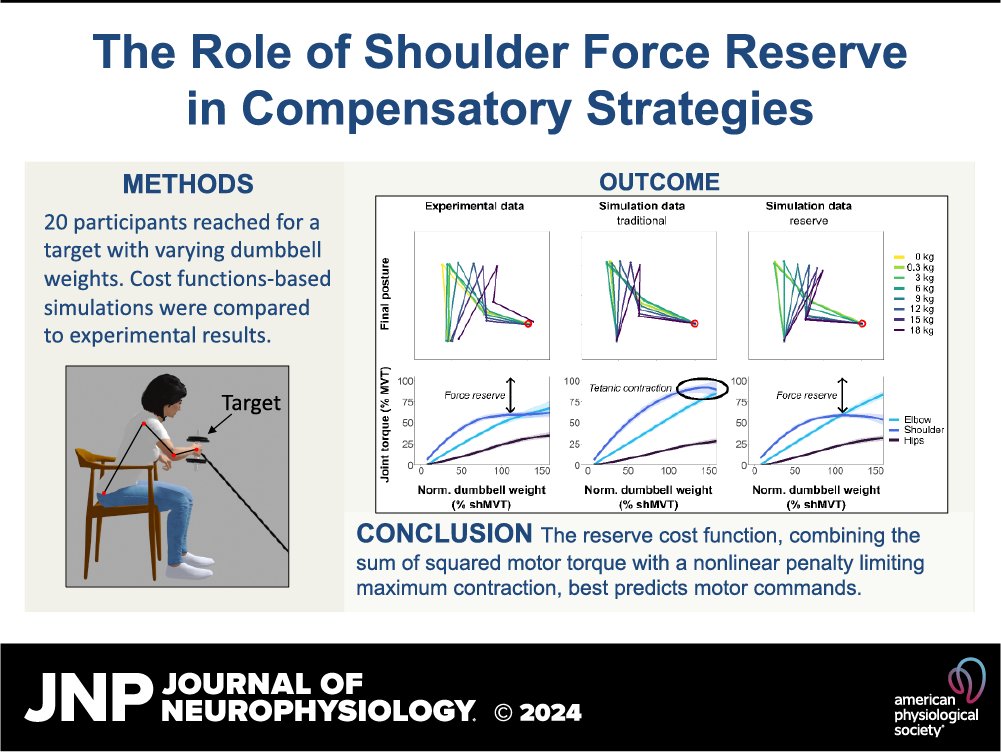 JNeurophysiol's tweet image. New research by @FaityGermain et al. uncovers how the body compensates for shoulder strength deficits #poststroke during reaching tasks. Heavy dumbbells and optimal controllers are key!
🔗ow.ly/w3Nj50TzZy8
#OptimalControl #CostFunction #Stroke