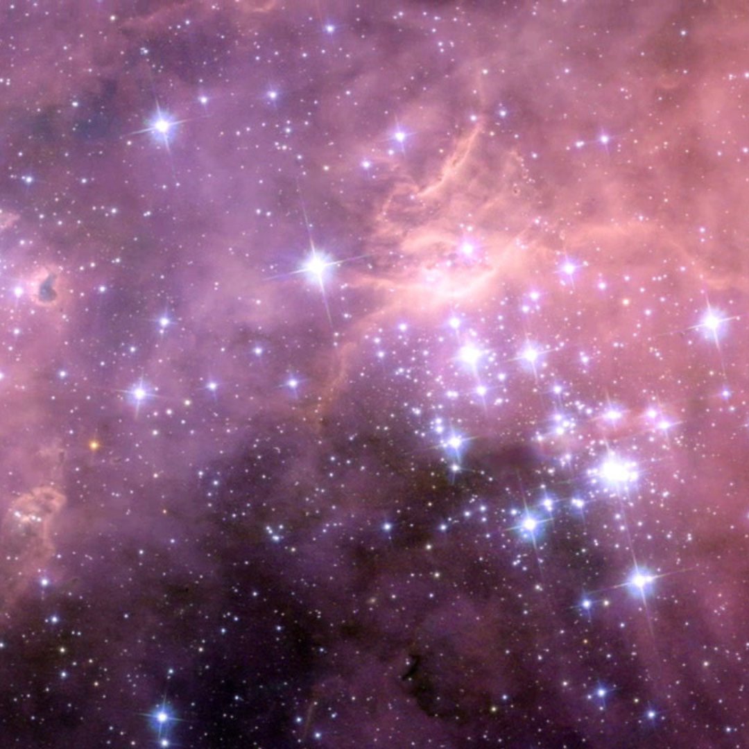An 11/10 view 🤩

N11 is an energetic region of star formation. This #HubbleClassic view shows the network of gas clouds and star clusters that reside in the Large Magellanic Cloud, a satellite galaxy to our Milky Way.

For more on Hubble's N11 studies: go.nasa.gov/4gR8Xao