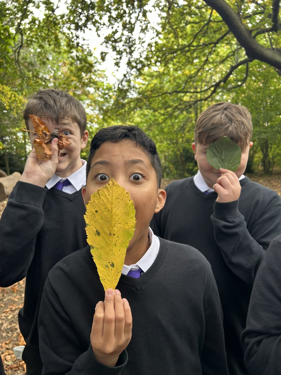 S1 Nurture enjoying the Autumn colours and investigating the different leaves found in our school 🍂