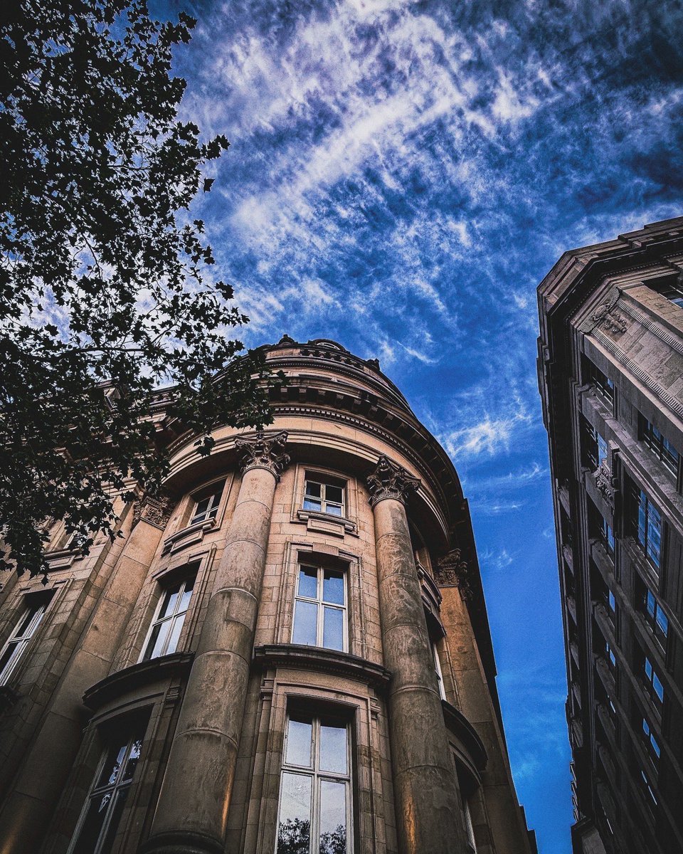 Sergio Gutiérrez 👨🔬🦠🧬 tweet media