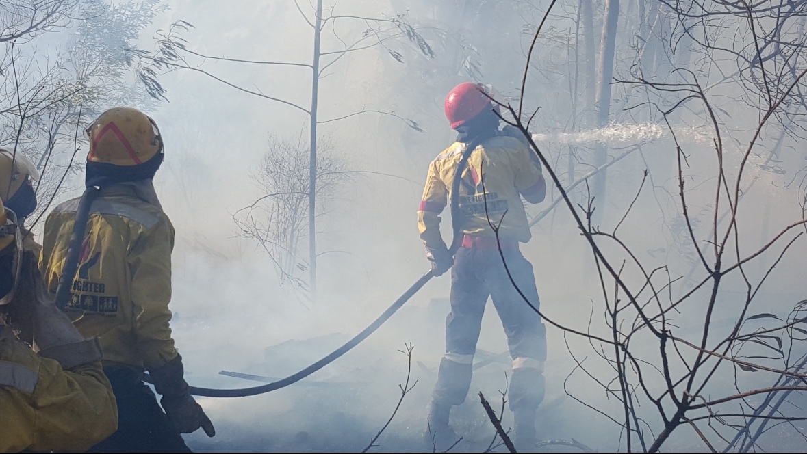 wo_fire's tweet photo. ππ₯ Climate change is amplifying wildfires across the globe, including here in South Africa. Rising temps, prolonged droughts, and unpredictable winds fuel longer, more severe fire seasons, endangering lives, wildlife, and ecosystems.
#ClimateCrisis
@environmentza https://t.co/999vs3amlO
