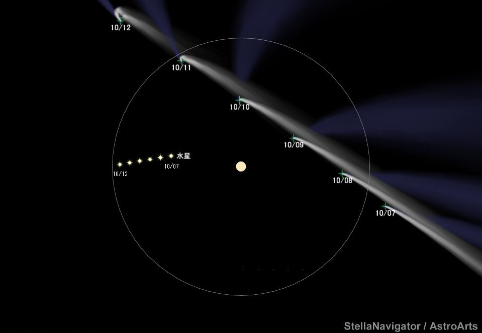 開運コロシアム 極星神ポラリス シリアル 400番台 南天星サザクロ 付