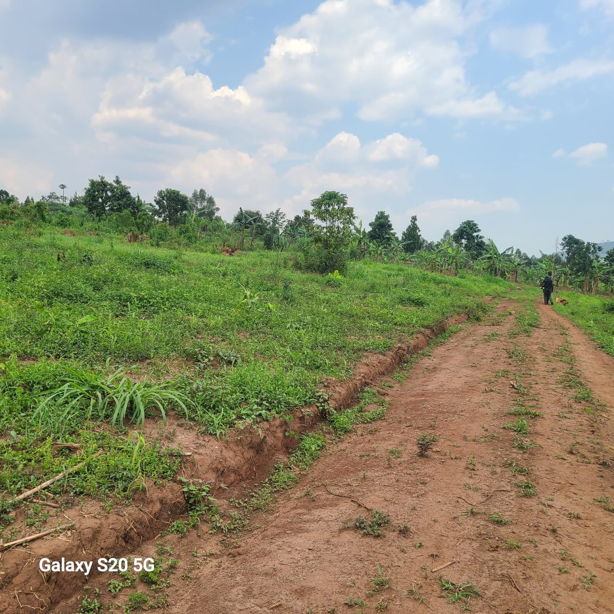 RealEstateUG1's tweet photo. 50*100 PLOT @ 10M,ONE Plot LEFT AT OUR WAKISO BAKA ESTATE, 3KM FROM THE MAIN ROAD.
Get it now : call or WhatsApp 0742914650 https://t.co/htXP8BYOzw