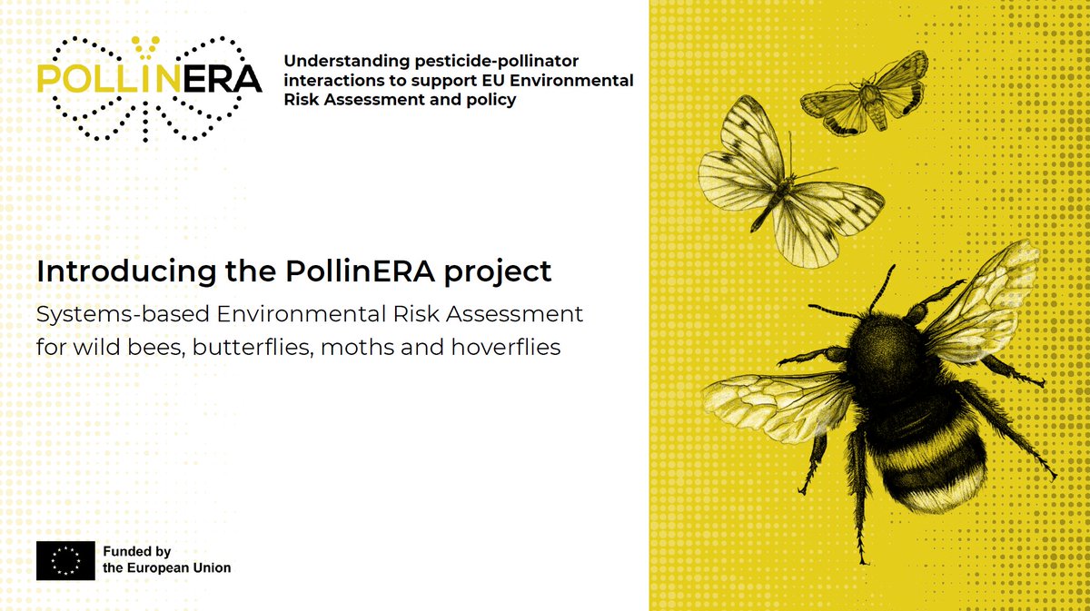 Did you know that our scientists are involved in this amazing project? Check it out! 
pollinera-horizon.eu
#horizoneu <a href="/pollinERA_eu/">PollinERA</a>