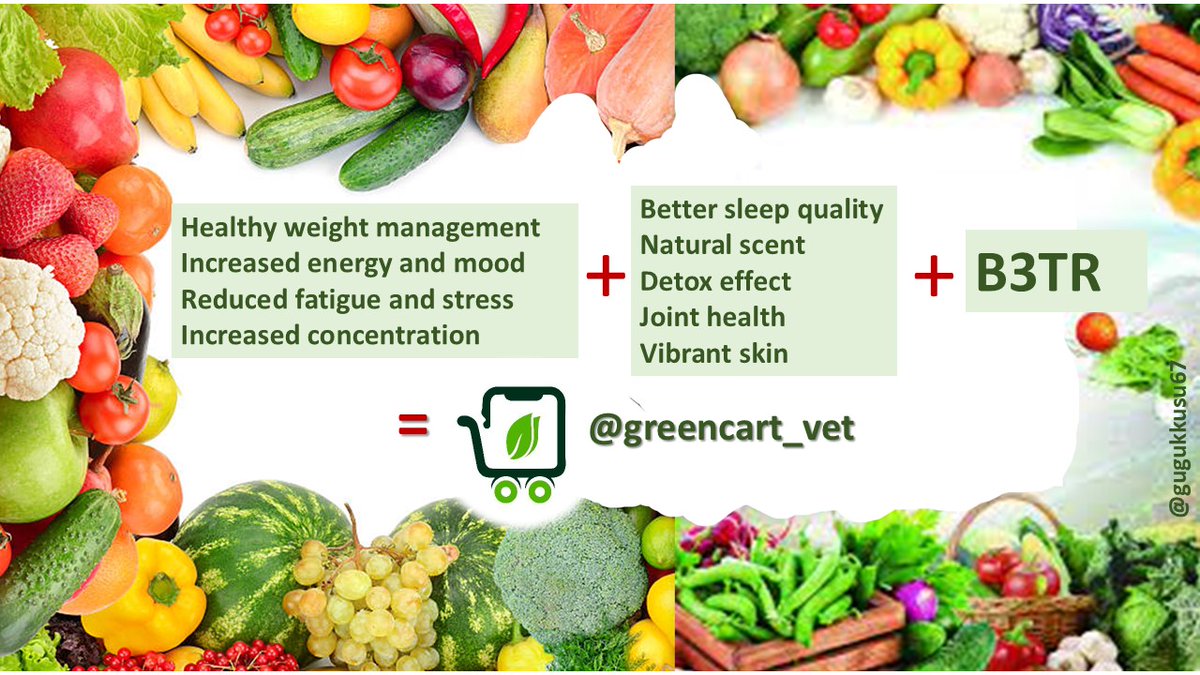gugukkusu67's tweet photo. What more could you want?
@greencart_vet #VeBetterDAO #VeWorld #VeFam #vechain #HealthyLife #FruitVegetable #ConsumptionHabit #NutritionHabit #Sustainability https://t.co/XLpq3AaKNq