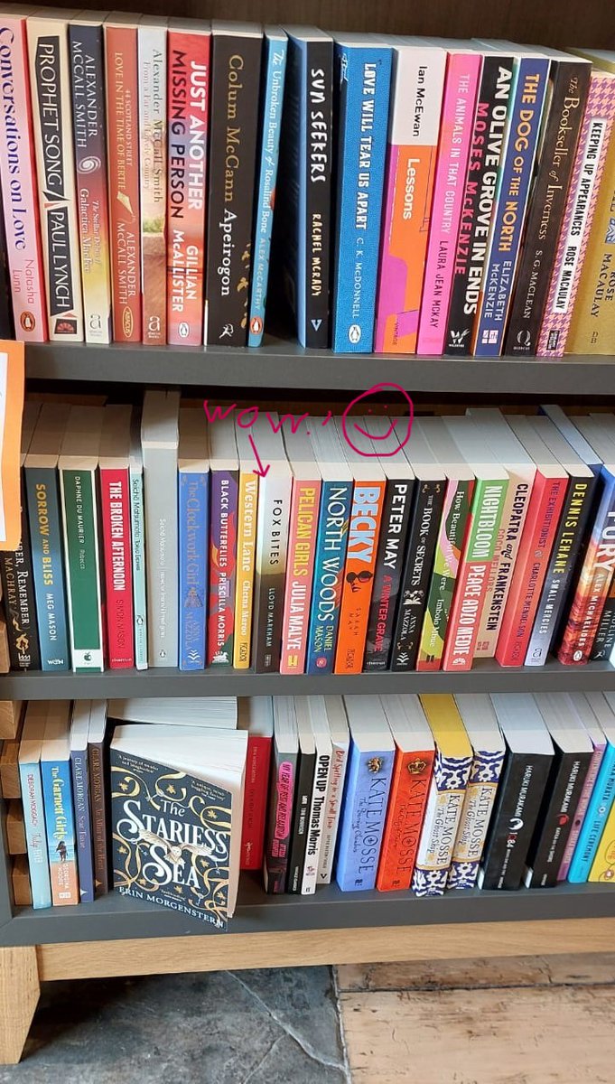 Spotted in a bookshop on Hay On Wye. Sent to me by a friend - think she said the place was North Books. Always excited to see Fox Bites in the wild 🦊✨