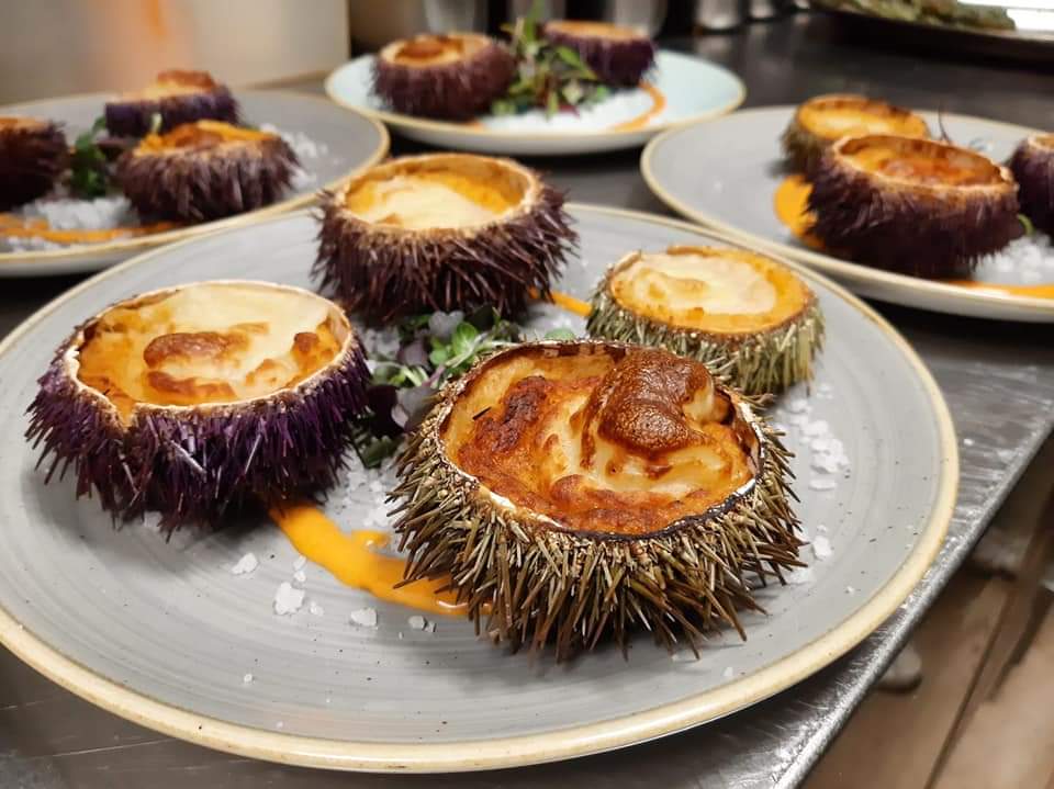 befooder's tweet photo. Donostia, ¡más que pintxos y tapas!

🍴 Hiru Anaiak

📍Arrandegi Kalea, 6, 20003 Donostia, Gipuzkoa

👉Más ℹ️ y reservas en nuestra web|app https://t.co/CfIZGevhcY… o escríbenos por privado

#TotalFood #Befooder #restaurante #escapadas #laconcha #donostia #grupo https://t.co/yN7F2EOqsy