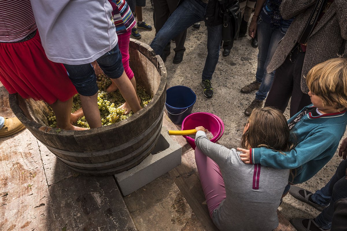 👨‍👩‍👧‍👦 La <a href="/VeremaBages/">Festa de la Verema del Bages</a> té propostes per a tothom, fins i tot per als més menuts de la casa, que podran participar en un joc de pistes de verema o provar d'aixafar raïm.

No us ho perdeu! 👉 festaveremabages.cat 🍇

📷 @rodbagphoto

#bages #bagesturisme #bcnmoltmes