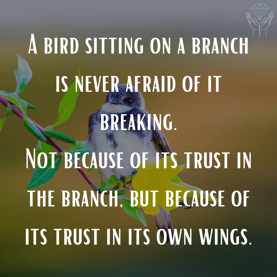 GREAT MORNING Diamond Hand Fam, Super Soldiers, 1%er’s, and everyone in between!🌞😎

Don’t be afraid to spread your wings and fly!!🪽

💎🙌🧠📈