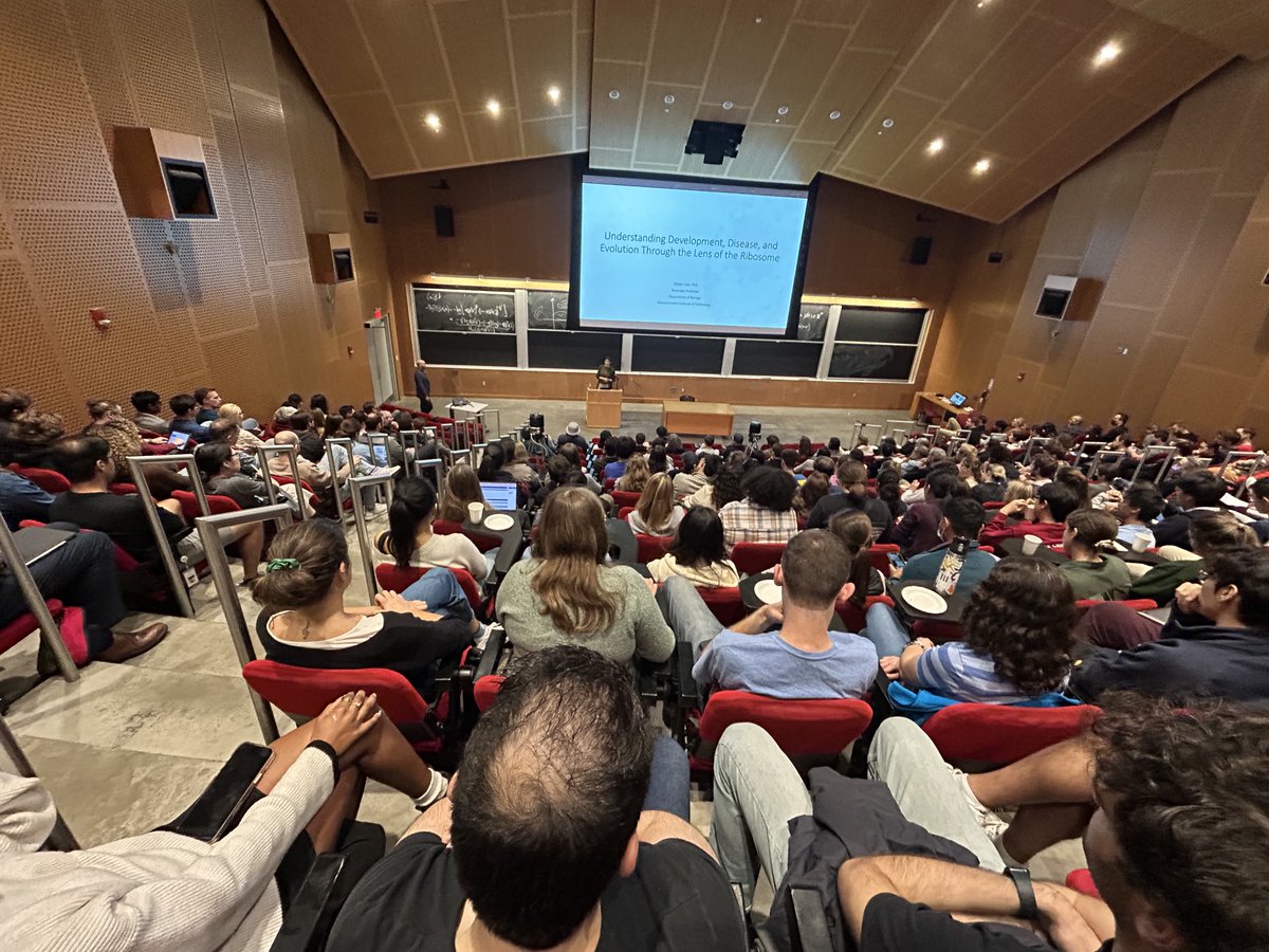 MandanaMSRP tweet media