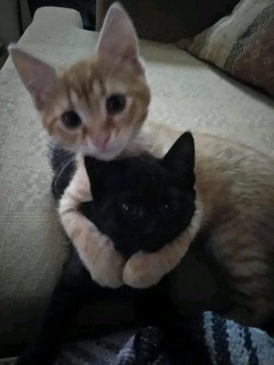 “si mamá, él es mi novio”