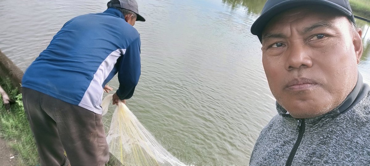 Rokit_66's tweet photo. Senin (23/09/2024) ROKIT SP Luhkan Kab Sinjai mendampingi panen parsial udang vaname di Desa Panaikang Kec Sinjai Timur An A. Karya Kuasse produksi 150 Kg zise 86 ekor/kg harga Rp 57.000/kg
#GiatLuhkanSatminkalMaros 
#luhlapor 
#Panen https://t.co/hD1uhZZ5qb