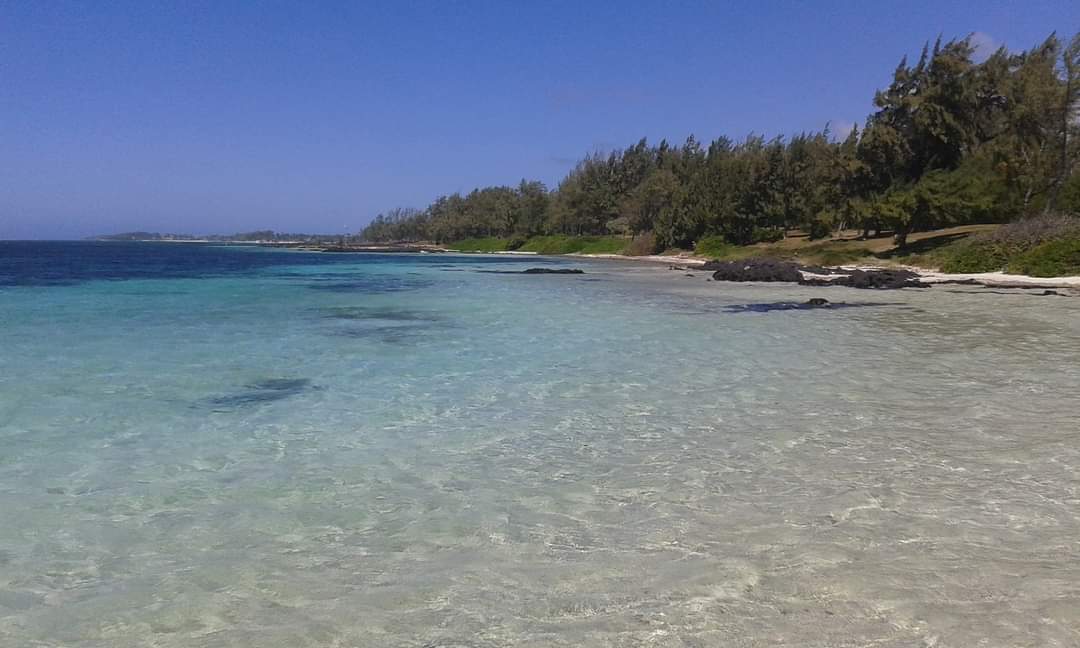 SpiaggeDaSogno's tweet photo. Isola dei Cervi, #Mauritius ☀️ 🏝️

📸 An Dre https://t.co/0lQWthF5lG