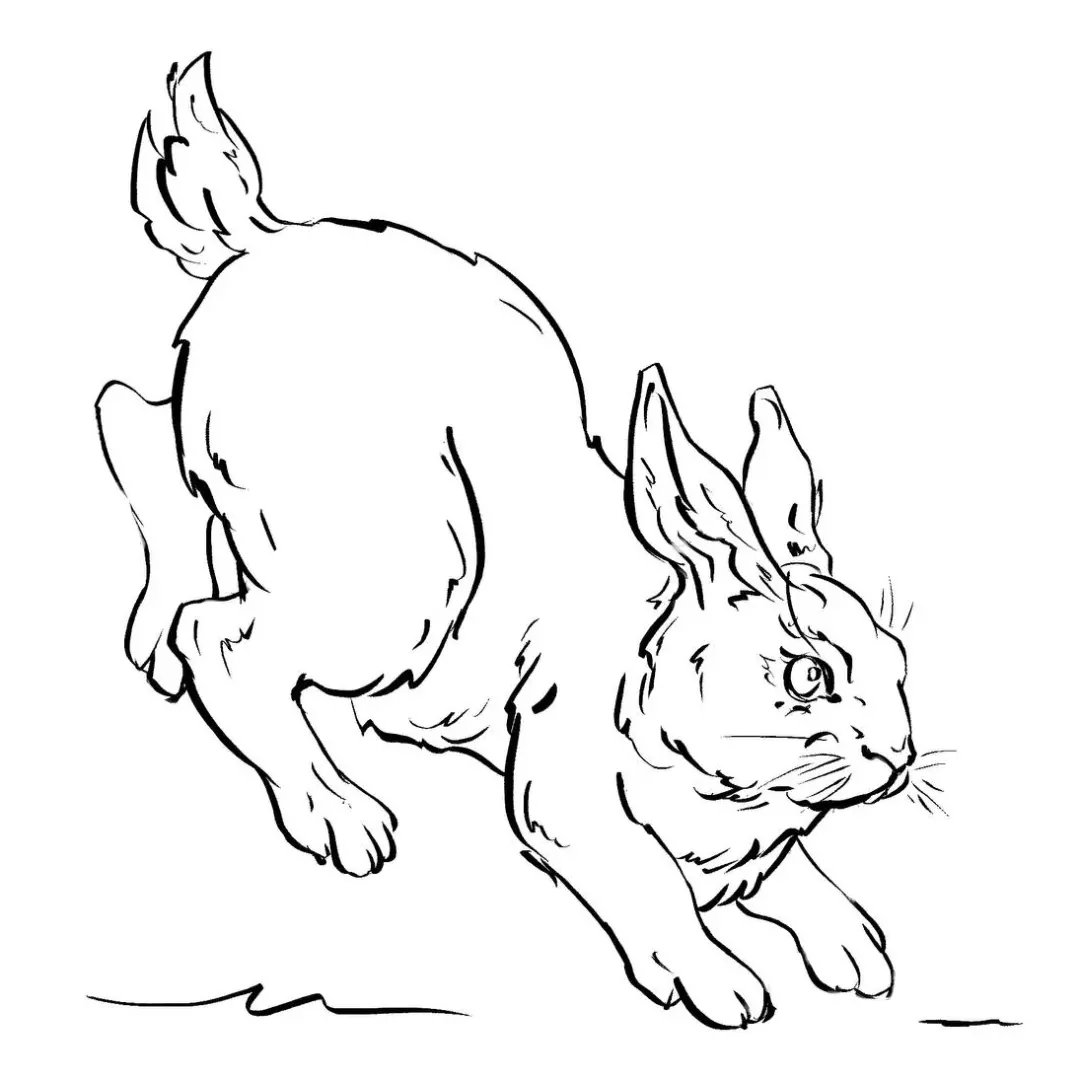 #inktober2024 #inktober #sketch
 Day 1 - Sacrifice
I use my own prompts for this challenge so this rabbit will be the first one.