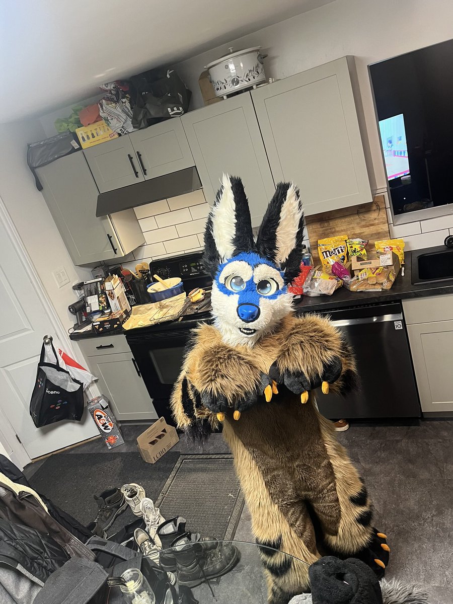 steve_sleeping's tweet photo. “Whooo- I mean, bark bark!” 😅

🔵🐕: @Teeker_Dog https://t.co/v26My3i5VU