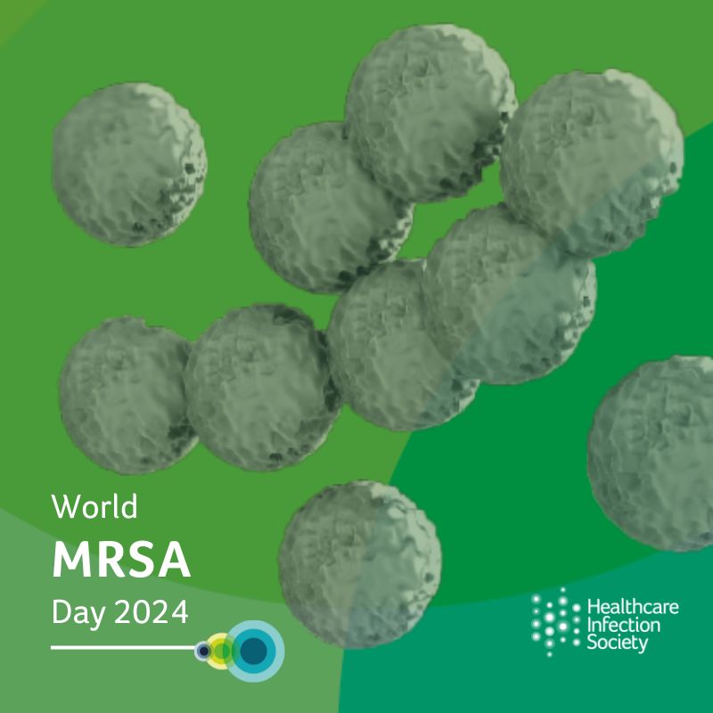 To mark #WorldMRSADay, we are sharing free resources from the Society so you can learn more about the impact of this superbug, and what you can do to tackle it.

🦠MRSA Guidelines: ow.ly/nbyx50TB0Qz
🦠One-page summary: ow.ly/P6bh50TB0QA