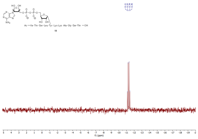 Filippov ADPr Lab (@leidenadpr) on Twitter photo New work in collaboration with <a href="/IvanAhelLab/">Ivan Ahel Lab</a> , <a href="/JgmRack/">JGM_Rack</a> and <a href="/Lab_Matic/">The Matic Lab</a> !
Tyr-ADPr solved! Despite its acid sensitivity 🫠 New work in collaboration with <a href="/IvanAhelLab/">Ivan Ahel Lab</a> , <a href="/JgmRack/">JGM_Rack</a> and <a href="/Lab_Matic/">The Matic Lab</a> !
Tyr-ADPr solved! Despite its acid sensitivity 🫠