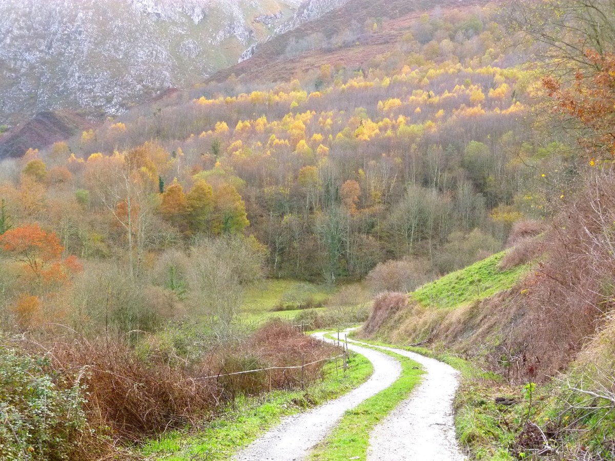 ❤️ "No hay camino para la paz, la paz es el camino."

☯️ Palabras de Mahatma Gandhi en el día de su nacimiento (02 de octubre 1869).