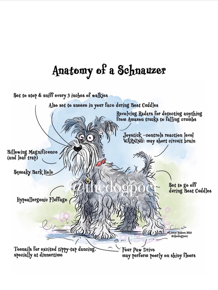 thedogpoet (@thedogpoet) on Twitter photo <a href="/SchnauzerfestUK/">SchnauzerfestUK®</a> is celebrating 10 years and you could win one of my cushions among some absolutely beautiful prizes- just for a donation of any amount!
#SchnauzerGang Check out their <a href="/JustGiving/">JustGiving</a> page and please donate if you can. Thank you! #JustGiving justgiving.com/page/10-years-… <a href="/SchnauzerfestUK/">SchnauzerfestUK®</a> is celebrating 10 years and you could win one of my cushions among some absolutely beautiful prizes- just for a donation of any amount!
#SchnauzerGang Check out their <a href="/JustGiving/">JustGiving</a> page and please donate if you can. Thank you! #JustGiving justgiving.com/page/10-years-…