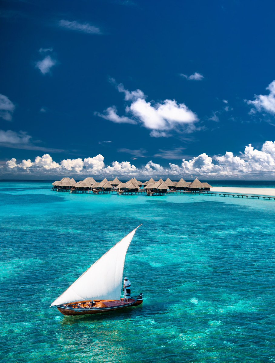 CocoCollection's tweet image. Coco Bodu Hithi and Coco Palm Dhuni awarded as Top #11 &amp;amp; #18, respectively in the @CNTraveler Readers’ Choice Awards.

Sincere appreciation to our guests, partners and hosts for your support and love! 

#cococollection #cocoboduhithi #cocopalmdhunikolhu #cntraveler