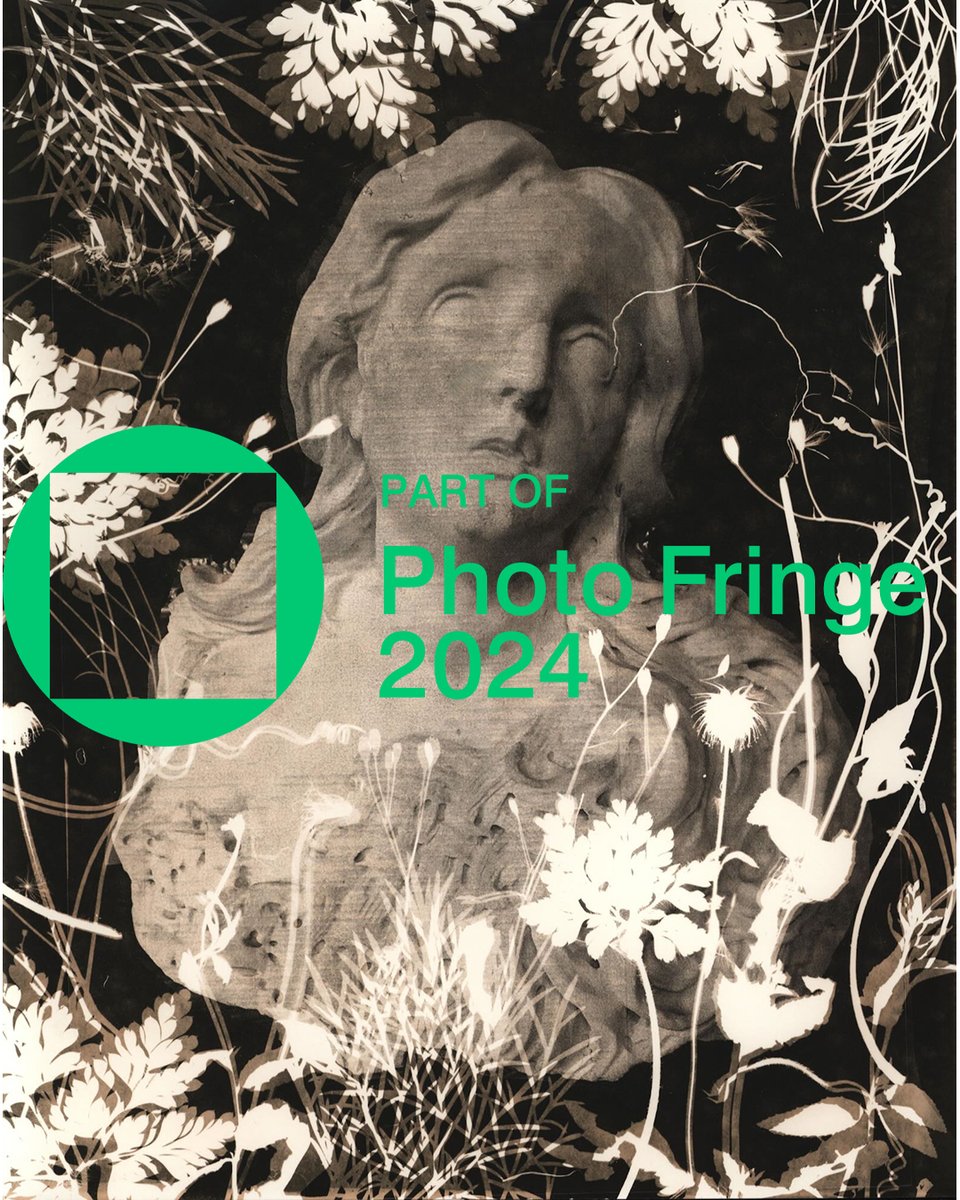 Delighted to be participating in Photo Fringe 2024, please follow the link to visit my online exhibition 'rewinding' - a series of lith print photograms of weeds and images of classical sculptures shot on #fomapan100 film: 2024.photofringe.org/exhibitions/re… #photofringe2024 #photofringe