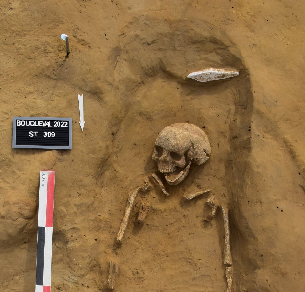 Ce vendredi à 18h30, conférence-visite-apéro au musée autour de la nécropole gauloise de Bouqueval avec les archéologues du <a href="/valdoise/">Département du Val d'Oise</a> Caroline Touquet et Céline Gillain. Pour tout savoir sur cette découverte exceptionnelle : archea.roissypaysdefrance.fr/a-la-une/une/c… #FDS2024