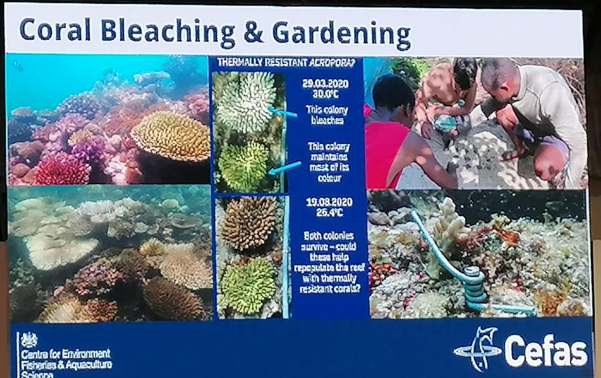 ruth keah (@ruthkeah) on Twitter photo Coral Bleaching and Gardening, presentation by Benjamin Cowburn, senior Conservation Scientist <a href="/CefasGovUK/">Cefas</a> <a href="/blueradioKe/">Blue Radio</a> <a href="/cefresa_ke/">Center for Resilience and Sustainable Africa</a> <a href="/earthjournalism/">Earth Journalism Network</a> @SoteHub Coral Bleaching and Gardening, presentation by Benjamin Cowburn, senior Conservation Scientist <a href="/CefasGovUK/">Cefas</a> <a href="/blueradioKe/">Blue Radio</a> <a href="/cefresa_ke/">Center for Resilience and Sustainable Africa</a> <a href="/earthjournalism/">Earth Journalism Network</a> @SoteHub
