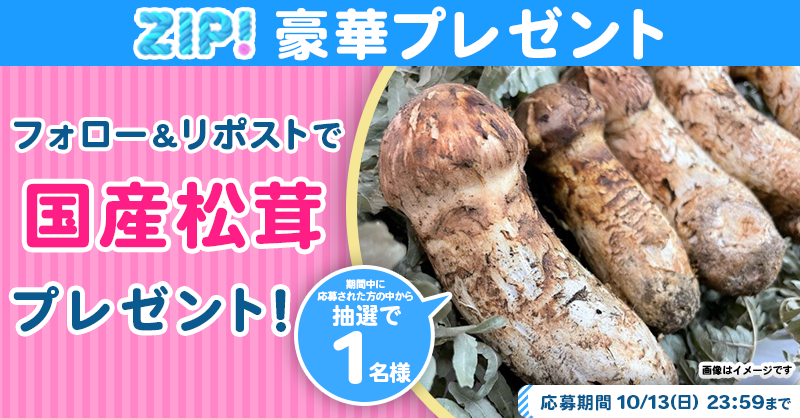ZIP_TV's tweet photo. 🌅朝は #ZIP! でスマイル🎀

■━━━━━━━━━━━━■
　　　　  国産松茸
　プレゼントキャンペーン
　　　　　2⃣日目❣
■━━━━━━━━━━━━■

📝応募方法📪
1️⃣@ZIP_TV をフォロー▶
2️⃣この投稿をリポスト🔁
➕毎日参加で当選率UP⤴

今すぐリポストで参加してね❣
💙
👐#ZIP