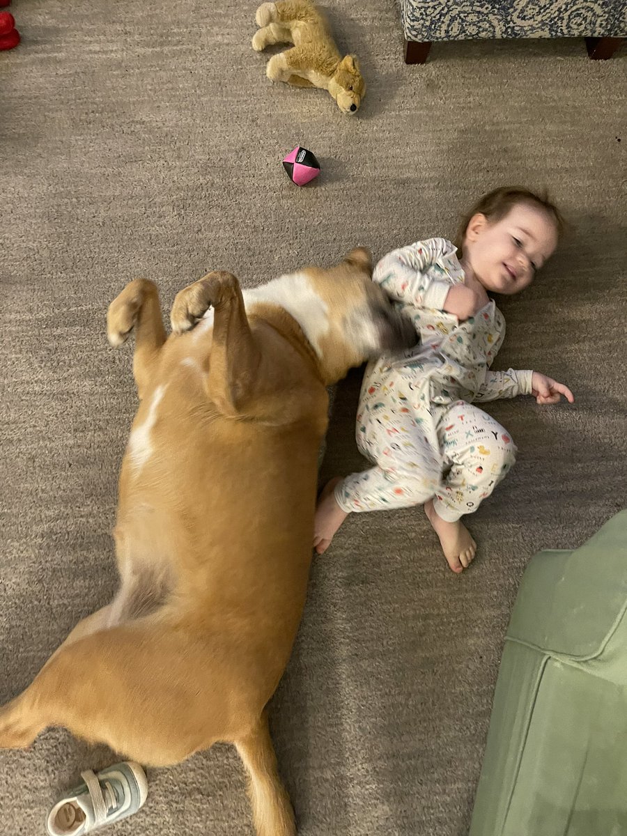 V OConnell tweet media