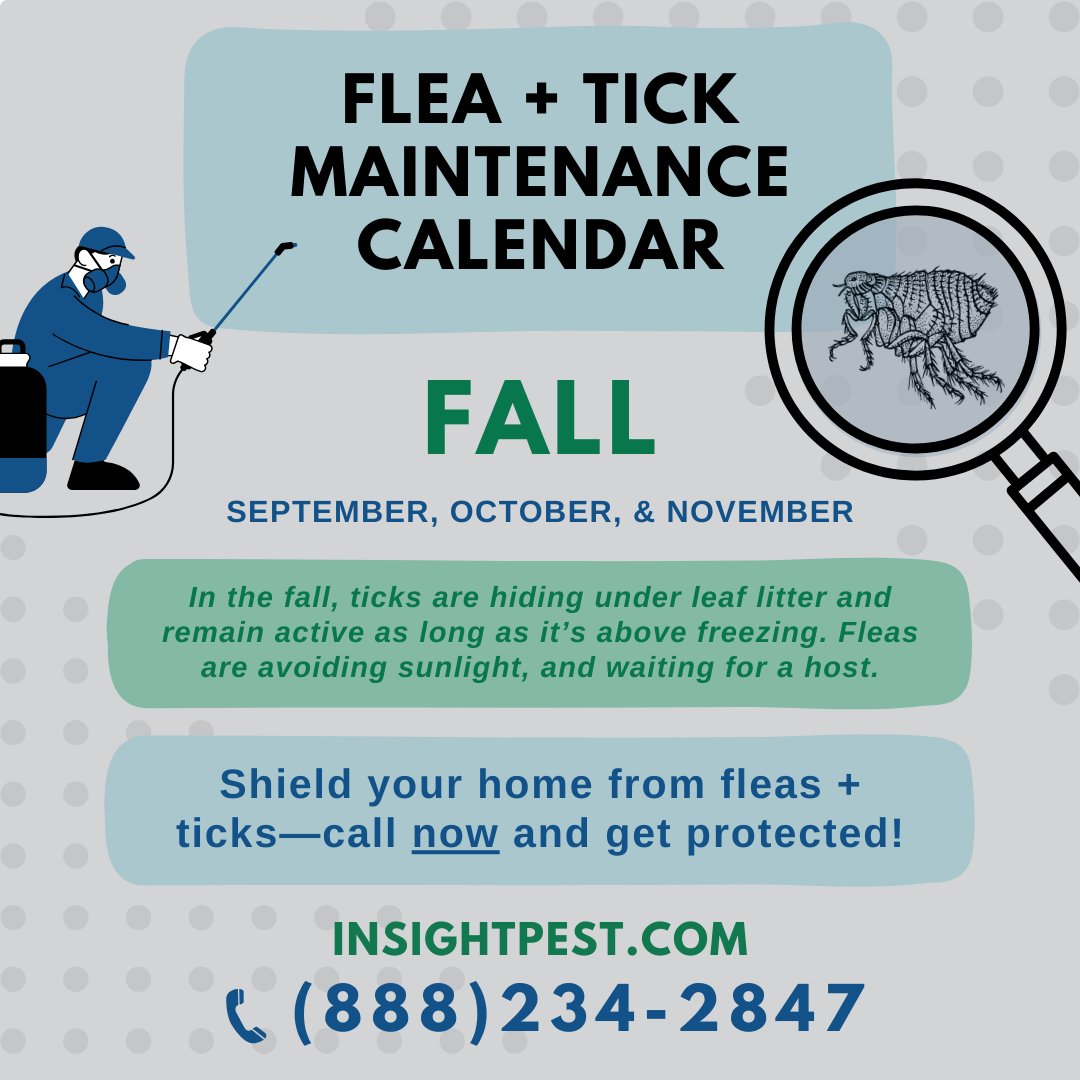 InsightPest's tweet image. Fall is here, and so are fleas and ticks! 
Call us at 👉 (888) 234-2847 👈 to talk to one of our experts about any questions or to add flea and tick services to your plan!
#InsightPestSolutions #FleaAndTickPrevention #FallMaintenance #CommunityCare