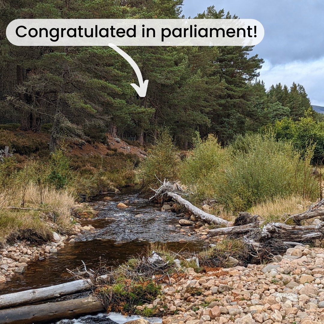 Exciting news! 😁 

The Spey Catchment Initiative was recognised in a Parliamentary Motion at Holyrood for our Allt Lorgy Restoration Project &amp; Wild Salmon Conservation Award win! 

🎉 Huge thanks to all involved! 🙌

speycatchment.org/parliamentary-… #Scotland