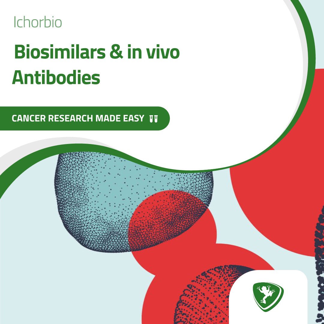 FroggaBio's tweet image. Checkout the wide range of @ichorbio Research Biosimilars and in vivo Antibodies available now at FroggaBio! Explore these high-quality products designed to meet your research needs. 🐸🧪

LEARN MORE: hubs.li/Q02RGr5z0

#ResearchProducts #BiologicalResearch #Lab #FroggaBio