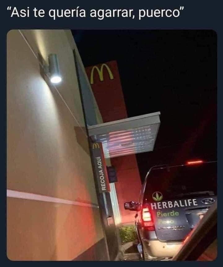 😹😹😹
