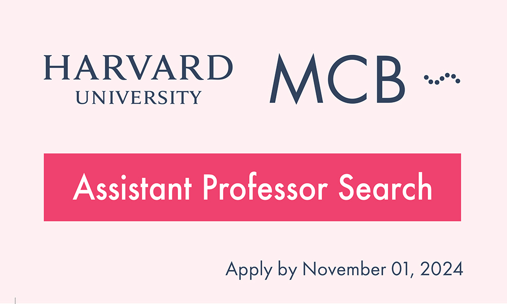 MCB_Harvard (@mcb_harvard) on Twitter photo MCB Has an Assistant Professor Search Underway. Apply by November 1! <a href="/RachelleGaudet/">Rachelle Gaudet</a> @naoshigeuchida <a href="/DulacLab/">Catherine Dulac</a> <a href="/EngertLab/">Florian Engert</a> <a href="/rnett42/">Ryan Nett</a> @LabWhipple <a href="/VMurthyLab/">MurthyLab at Harvard</a> <a href="/NBellono/">Nicholas Bellono</a> @zombieflied <a href="/fleshball/">Ethan Garner</a> <a href="/MicrobiomeTcell/">Kazuki Nagashima</a> <a href="/faspda/">Harvard FAS Postdoc Association</a> <a href="/Harvard/">Harvard University</a> <a href="/denic_lab/">Denic Lab</a> mcb.harvard.edu/department/new… MCB Has an Assistant Professor Search Underway. Apply by November 1! <a href="/RachelleGaudet/">Rachelle Gaudet</a> @naoshigeuchida <a href="/DulacLab/">Catherine Dulac</a> <a href="/EngertLab/">Florian Engert</a> <a href="/rnett42/">Ryan Nett</a> @LabWhipple <a href="/VMurthyLab/">MurthyLab at Harvard</a> <a href="/NBellono/">Nicholas Bellono</a> @zombieflied <a href="/fleshball/">Ethan Garner</a> <a href="/MicrobiomeTcell/">Kazuki Nagashima</a> <a href="/faspda/">Harvard FAS Postdoc Association</a> <a href="/Harvard/">Harvard University</a> <a href="/denic_lab/">Denic Lab</a> mcb.harvard.edu/department/new…